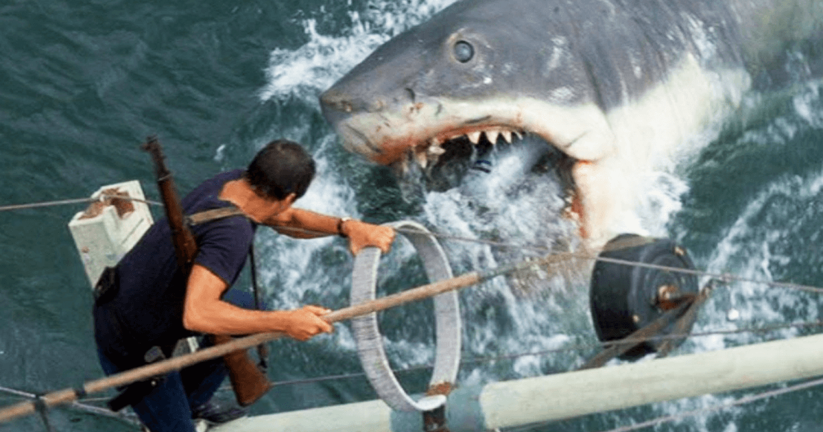 The Colossal Podcast Sinks its Teeth into Jaws Screenwriter Carl ...