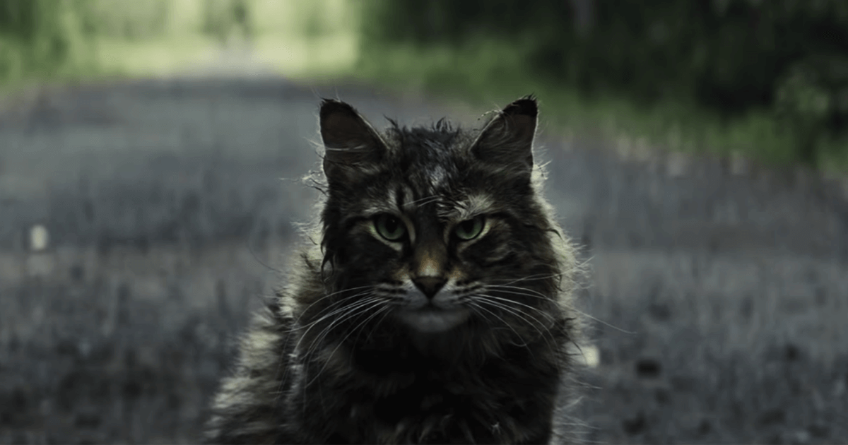 First Official Trailer for Pet Sematary Remake Released Dead